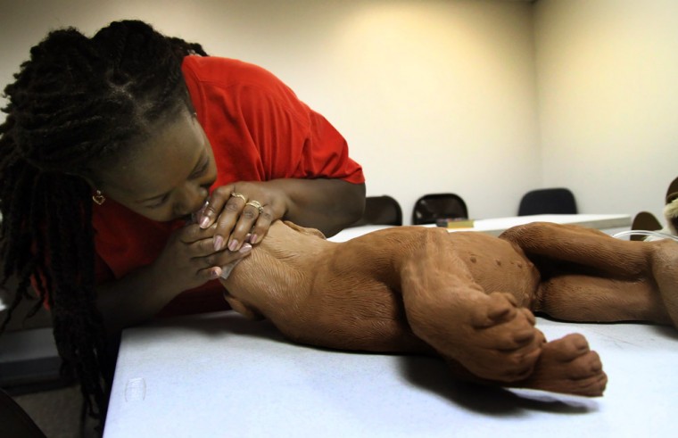 Pet First Aid